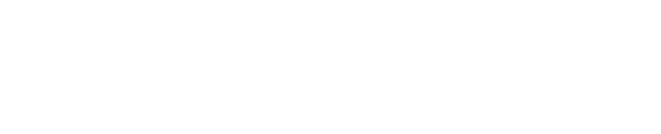 Catcloud 猫云加速器